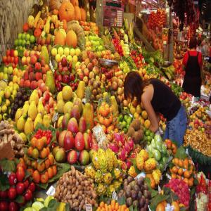 produits alimentaire - fruits et légumes notre société offre toute son expertise dans l'acquisition de fruits d’origine tunisienne. forts de plusieurs années d’expérience dans le commerce de fruits et légumes,  nous pouvons aujourd’hui vous apporter tout notre savoir-faire et vous accompagner dans la s&eac