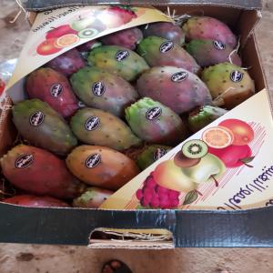 Figues de Barbarie de la Tunisie - fruits et légumes nous disposons des figues de barbarie de haute qualité gustative --très bon calibre--emballage en carton avec fibre alimentaire--possibilité de commander à partir de 2 palettes