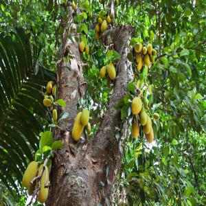 A la recherche des clients  - autres entreprise spécialisée dans l'import-export & négoce nous somme situé à abidjan , nous sommes dans le domaine d'agro-alimentaire,  ainsi que les produit tropicaux. nous disposons d'un grand réseaux de grossistes dans toutes l'étendu de l'afrique de l'ou