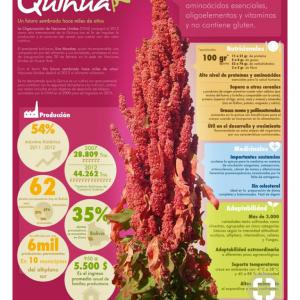 Producteur de quinoa bio - céréales --je vends ma production de quinoa bio.--je vends aussi des pois chiches bio.                      --     ----