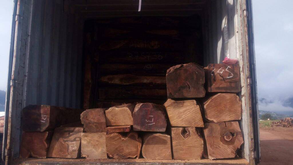 ROSEWOOD LOGS FOR SALE - wood charcoal fiber 1foot by foot - diameter - 30cm * 30cm - as mininun length- 7feet --sepcy - rosewood. please contact us for more information