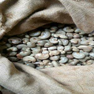 Recherche des partenariats d’affaire - roasted seeds and nuts nous sommes une importante structure de logistique et transport sise au bénin à la recherche des partenariats d’affaire,  pour l’achat des fruits secs tels que - le soja,  la cajou,  l’arachide,  le karité,  coco… nous mettons au service de nos partenaires un réseau de transit