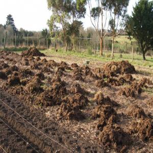 engrais agricole,produit vivrière et commercial - autres merci de prendre la peine de lire mes prestations pour plus de détail précis j'ai des produits vivrière telles que l'haricot ,  l'arachide , le gombo,  la banane plantain et  piment.  je suis ouvert a d'autre proposition d'exportation pour terminer,  j'exporte aussi des poulets afri