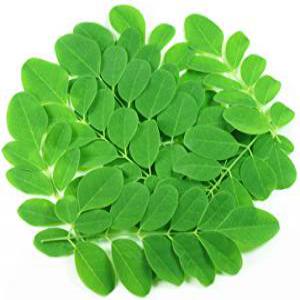 Achat épices et aromates et semences  - épices aromates je suis à la recherche de moringa bio en poudre ou en feuille,  en petite ou grande quantité. merci de me contacter --i am looking for mooring bio powder or sheet,  in small or large quantities. please contact me.