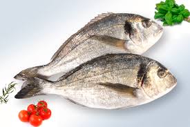 Cherche importateur pour Daurade et Loup  - poissons nous cherchons des partenaires pour nos produits d’élevage en mer (daurade et loup).--très bonne qualité et des prix très compétitifs.--