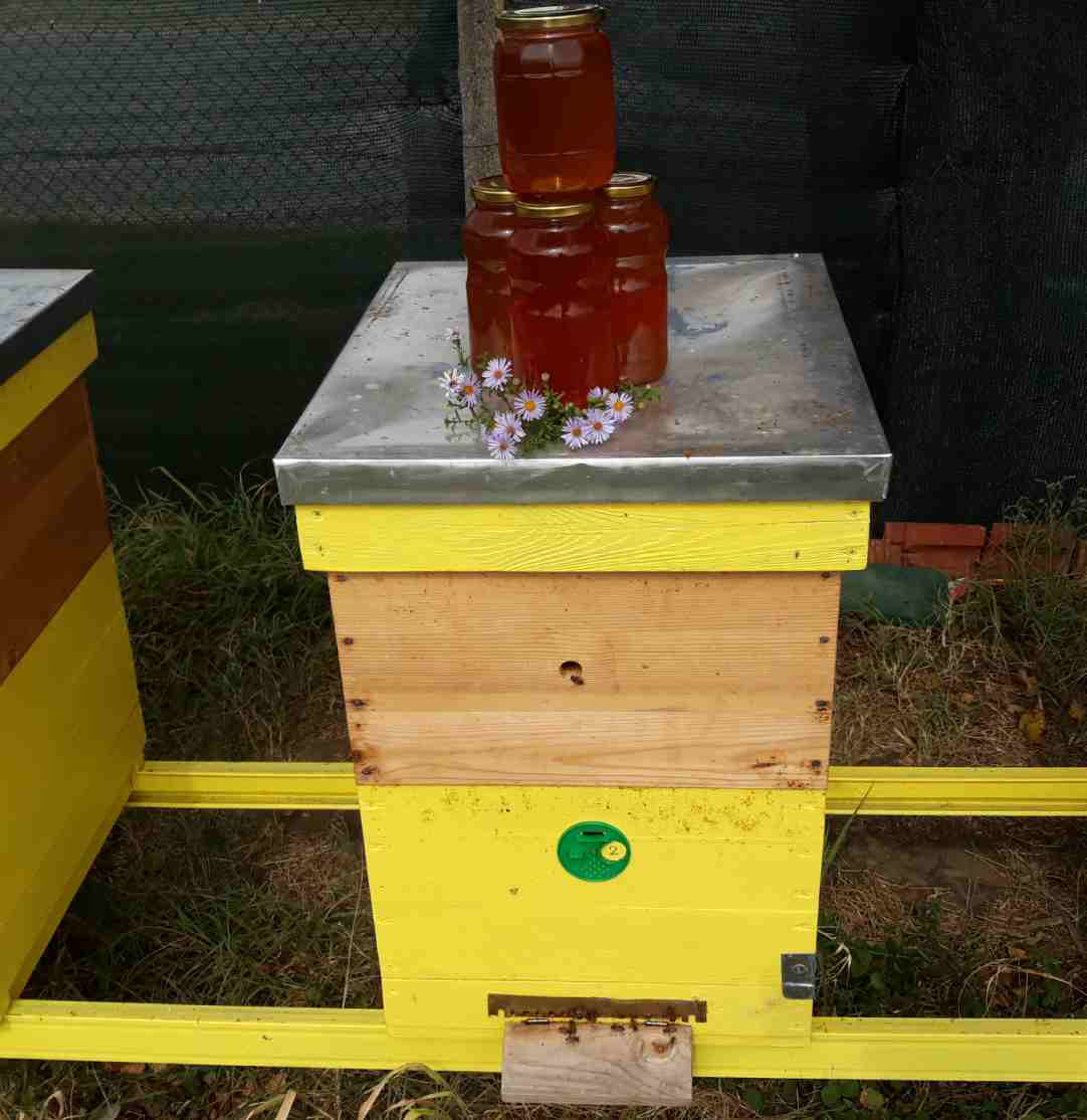 miel en vente dans la région de l'ouest de la BG - produits sucrés miel à vendre--bonjour,  je peux vous proposer du miel de bulgarie - conventionnel . --différents types- --- toutes fleurs,  --- acacia,  --- tilleul,  --- de sapin--- de montagne--- lavande --- miel noir de foret --- tournesol --- colza--certificat  par l'agence nationale de l'alimentatio