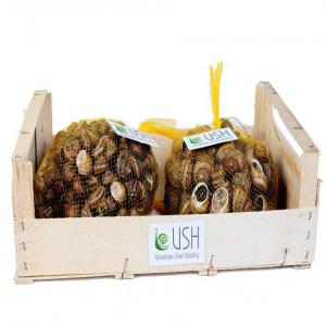 snail helix aspersa maxima, muller - live animals snail helix aspersa maxima,  muller from ukraine. farm in ukraine. we grow more than 100 tons of snails per year. we can also offer snail fillets in the future. we deliver the buyer to the warehouse.--we invite you to visit our farm. 