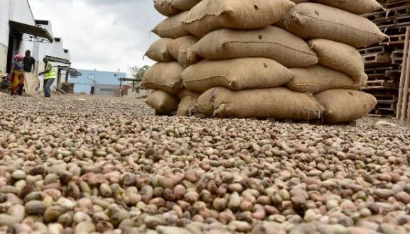 Anacarde brute en stock  - fruits secs et graines grillées je dispose de plus de 2000 tonne d'anarde brute en cote d'ivoire je recherche des acheteurs potentiel .  je reste a votre disposition je reside en tunisie précisément à tunis 