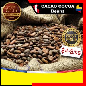 Cacao beans Cocoa beans - café cacao thé nous sommes en partenariat direct avec des producteurs au pérou et en colombie. nous avons accès à différentes fèves de cacao (haut de gamme,  type criollo).--plus d'info par demande.