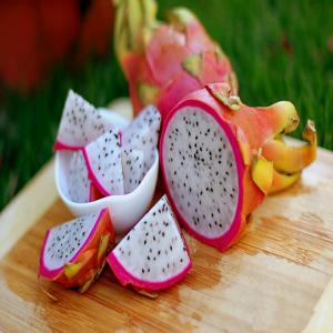 Recherche client Fruit de dragon - Pitaya - fruits et légumes fruit de dragon du delta du mékong à 1€/kg ou 1000€/tonne pour un prix de vente en détail de 7 à 20€ en france ou europe.--merci de nous contacter. produit disponible rapide ou tout au longue de l'année. grande quantité et récurrent possible.