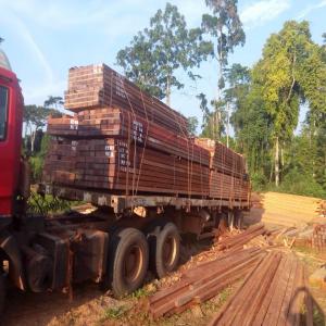 bois débité iroko-tali-padouck-dabema-moabi - bois charbon fibre nous mettons à votre disposition,  des fournisseurs fiables, les produits bois débités qualité fas ad ( iroko-padouck-pachyloba-moabi-tali-dabema).-- bois débités qualité fas kd( ayous).--nous élargissons également notre activité su