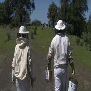 PRODUCTEURS DE MIEL D'ESPAGNE - produits sucrés miel d'espagne. miel bio.--nous sommes producteurs et emballeurs de miel naturel à córdoba (andalousie,  espagne). nous voulons contacter les distributeurs et les vendeurs de miel pour pouvoir vendre nos produits. miel naturel de thym,  de romarin,  de lavande,  de fleur d'oranger,  et de fleurs. 