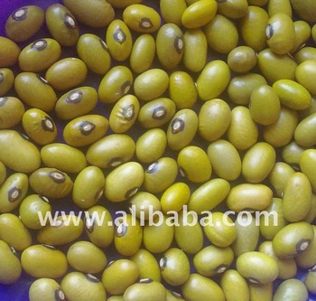 Dried medium yellow beans - fruits and vegetables we have well sorted dried medium yellow beans ready to ship anywhere with our season nziza brand.--we do establish a strong traceablility of our products from field to market. please email us us for more details. thanks--- 500 mt