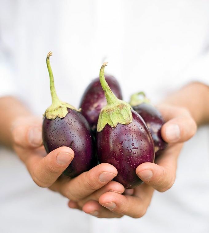 Légumes et Fruits Frêche  Égyptiens  - fruits et légumes bonjour--nous avons la capacité  l'expérience nécessaires pour exporter nos produit agricole fruit et légumes freches egyptien nos produit sans de nos fermes au caire egypte en est prit a exportes nos produit vers les payes arabes et europeens et gagner confiance de nos c