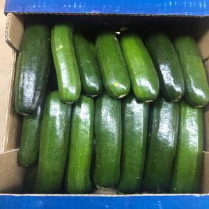 Cherche courgettes vertes - fruits et légumes bonjour,  nous sommes exportateurs de fruits et légumes frais tunisiens. on cherche pour un client français les courgettes vertes en toute urgence...--emballage souhaité - carton 40*30*12--5 kg net par carton--calibre -14-21 cm--merci de nous faire parvenir votre meilleure offre 