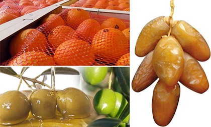 Produits agricoles Tunisiens - fruits et légumes nous sommes une societée tunisienne qui exporte des diffirénts produits agricoles (bio ou non bio) avec un trés bon rapport qualité/prix.  --des examples des produits qu'on l'exporte souvent- ---les dattes tunisiens (nour).---spiruline  ---mouringa.---huile d'olive tunisi