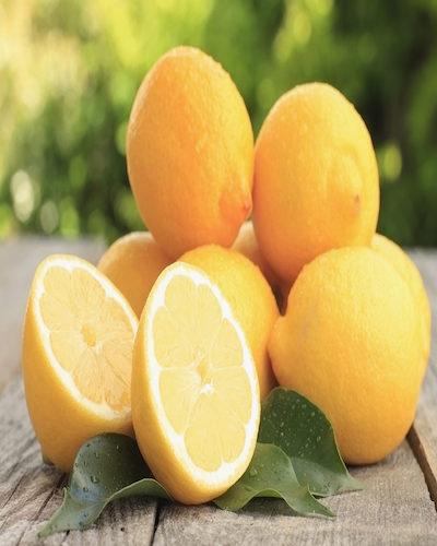 Nos produits agricoles Égyptiens fruits legumes - fruits et légumes bonjour --nous commençons une nouvelles compagne d’ognion rouge et jaune,  poivre couleur (rouge jaune) & les orange valencia,  mandarines ,  citrons  en recherche des acheteurs sérieux dans l’europe et par tous dans le monde  pour des  contetes de 25 tonnes et plus nous pouvons condition