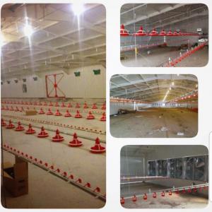 Broiler Farm with 65000 chicken capacity - other specifications- establishmentyear- 2014--easily set up,  only screw. --15, 88 m x 103, 88 m ( a block)--15, 88 m x 103, 88 m ( b block) for poultry area --total net area- 3 299, 22 m2 for chicken --the number of chicken on m2 = 19 pieces --1 period capacity- 62 685 pieces chicken ( 2, 50 kg one of chicken 