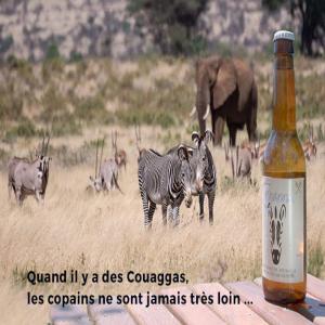 Une nouvelle bière belge artisanale - boisson alcoolisée la nyala,  bière ambrée à 8, 4° alcool aux saveurs caramel,  fruits rouges,  pain d'épice et des longueurs en bouche café et chocolat----la blanche,  la couagga,  7, 4° alcool aux saveurs rafraichissante d'agrume. légère amertume