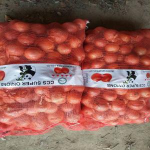 WE SUPPLY FRESH GARLIC ONION AND POTATO - fruits and vegetables hello dear sir--we are chinese company supplying to africa ,  europe and asia--different  product as   --garlic --potatoes--onion--grape--ginger--apple--vegetables and others fruits--we are looking  serious buyers for great  cooperation--currently  we  export   in  mali ,  senegal , guinee conakry ,  ma