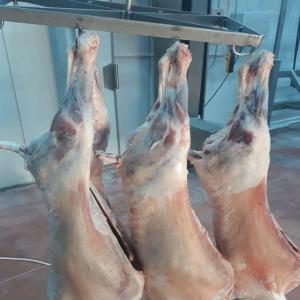 Ovins - 6 mois/ + 10 mois/ Cuisse de poulet - viandes et oeufs --viandes et vollailes halal--possibilité de visiter notrès site --paiement à la commande --nous sommes 100% transparent--merci de respecter notre travail . ----- paris ou stuttgart--- serviette ou couverture alimentaire/ carton--- 1 a 2 tonnes minimun