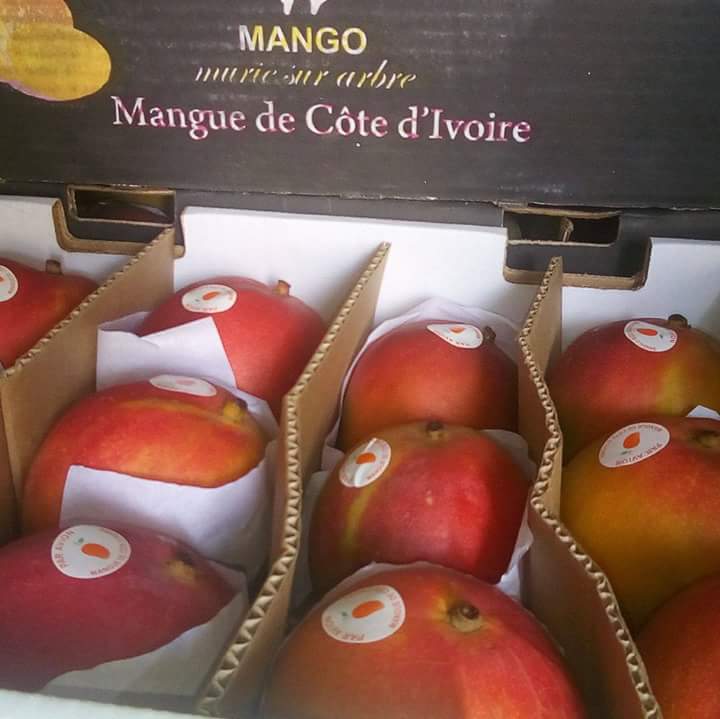 Mangue de Côte d'Ivoire  - fruits et légumes nous cherchons des partenaires-acheteurs de mangue qualité kent tous qualibres(6 à 12)pour la campagne prochaine. nous pouvons fournir 10.000tonne à 15.000tonne par mois. la campagne dure trois mois voir quatre mois. notre mangue est conditionné dans des cartons de 4, 5kg 