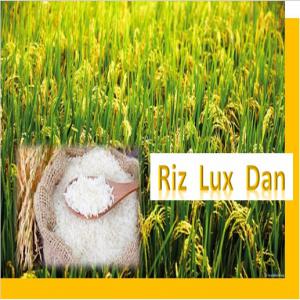 Le Riz local de luxe de Danané Riz Luxe DAN