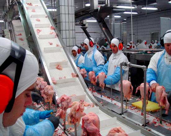 Poulet et viande Hallal - Halal  - viandes et oeufs nous proposons du poulet & boeuf halal du brésil.----nos produits répondent aux tests sgs,  nous pouvons fournir des types de pièces de poulet congelées. processus de congélation- iqf--partie- coupes entières et souhaitées par le client.--qualité