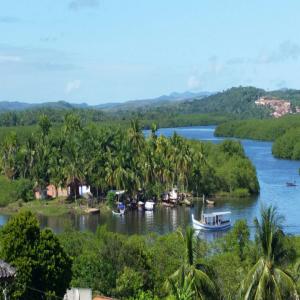 Société agricole & Plantation à vendre au Brésil - Investissement capitaux société de personnes à 2 actionnaires (couple marié) localisée dans le municipe de nilo peçanha,  entre les villes de itubera et valença,  le long du littoral atlantique de l'etat de bahia. elle dispose des actifs suivants - une plantation de 90 hectare