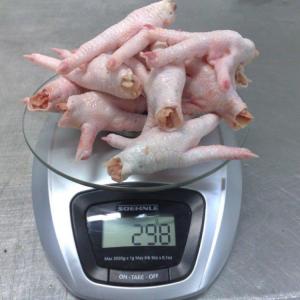 Brazil Chicken Meat and Cuts Suppliers - meat and eggs we have available stock of approved chicken cuts like paws ,  feet ,  wings ,  mdm ,  breast ready for delivery to the interenational market from approved sif numbers . contact with your loi and we shall get to you in the shortest of time with our quality services.