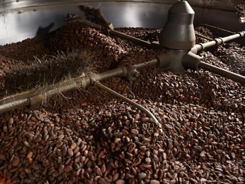 vente de notre production  de cacao et café  - café cacao thé nous vendons les fèves de cacao sèches trinitario  ce sont les graines du cacaoyer,  issue de nos différents plantation  de productions au cameroun qui peuvent etre utilisées pour la fabrication du chocolat et autres . elles sont extraites des baies,  que l'on ouvre à