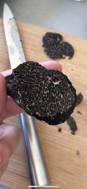 Fournisseur /Vente Truffe noir mélanosporum   - champignon levure bonjour,  je suis producteur et vendeur/fournisseur de truffes noir mélanosporum. --les truffes que je vends sont issus de ma propre production localiser à richerenche et ses alentours (drôme provençale). --grâce à cela je suis dans la capacité d’honorer