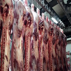 Viande fraiche sacrifiée halal, veaux, betail - viandes et oeufs notre société est dédiée à l'exportation de viande fraîche congelée,  ainsi que de veaux et d'agneaux vivants d'espagne vers des pays tels que la libye,  le liban,  l'algérie,  l'égypte ou la turquie. de la meme manière,  nous avons une