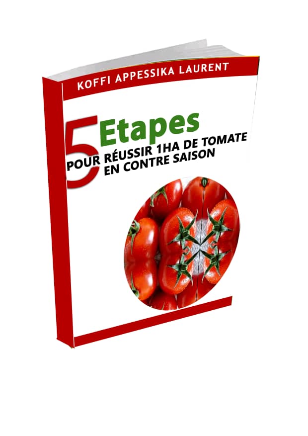 5 livres disponibles sur la conduite de Vivriers  - fruits et légumes bonjour, ----les cultures vivrières rapportent énormément d'argent chaque année. mais malheureusement beaucoup de personnes intéressés par ce secteur ignorent les choses importantes à savoir pour réussir dans ce domaine. ----nous avons 5 livres 