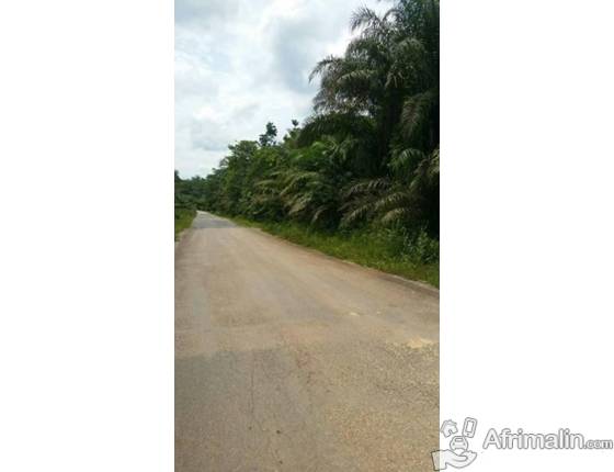 Terrains agricoles à vendre - mine terrain concession terrain agricole situé à 1 km de la route sur l'axe lourd douala-yaoundé au lieu dit  plaque  33 . terrain titré,  transaction devant notaire.