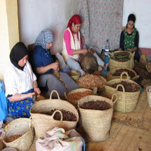 bio marocain HV,HE,ARGILE,savon cosmétique, - huiles nous sommes une société de distribution et marketing accompagne des coopératives agricoles spécialisées dans la production d’huiles d 'argan 100% bio cosmétique( gels douches,  gommage corps visage, shampoing, ect et alimentaire,  figue de barbarie. argile(verte