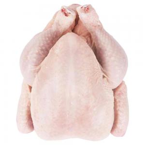  frozen chicken paws manufacturers | frozen chick - meat and eggs we are leading supplier of all kinds of chicken parts .  our policy is to satisfy our customers and maintain a long-term business relationship. in order to proceed further with any business,  we will require a soft request for quatation includes your  information .--we can supply kinds of frozen chic