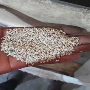 SESAME BIGARE ET BLANC  + ACAJOUX A VENDRE - fruits secs et graines grillées nous dosposons de sesame bigarré et blanc et noix dacajoux brute et decortiquer w3z0 et 240 a vendre au benin et burkina faso stok en magasin ...--prix à débattre ..emballage de 50kg par sac