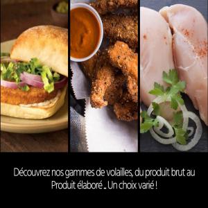 TENDERS, BURGER, CORDON BLEU... - viandes et oeufs produits élaborés halal,  panure cornflakes,  100% filet de poulet,  --conditionnement en sachet de 0, 800 kg ou 1 kg--livraison toute france--min de commande - a la palette