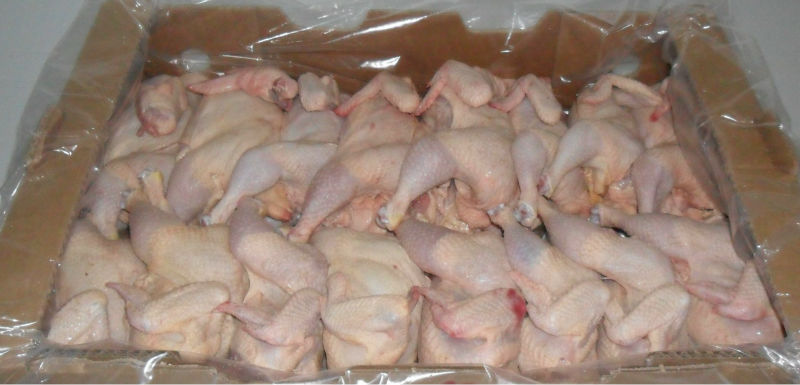 Brazilian Halal Frozen Chicken Order Now!! - meat and eggs we have the following in stock--1. frozen whole chicken --2. frozen chicken feet--3. frozen chicken paws--4. frozen chicken breast--5. frozen chicken thighs--6. frozen chicken drumstick--7. frozen chicken leg quatars--8. frozen chicken wings--9.boneeles skinless chicken fillets,  and all other chicke