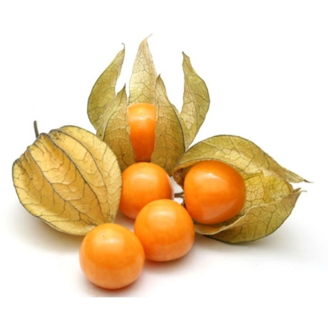 Physalis - fruits and vegetables physalis -we are the largest producer of physalis (goldenberry) from portugal,  we are looking for clients or partners for our production.--we have fruit all year round.