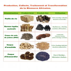 PELLETS - BRIQUETTES - PKS DE TORRÉFACTION... - energie renouvelable nous sommes dans la production,  la collecte,  le traitement et la transformation de la biomasse solide du type coques de palmistes,  coques d'arachides,  coques de noix de cajou...et la biomasse de type ligneux,  roseaux,  mercanthus,  typha. nous cherchons des partenaires sérieux et capables  de m