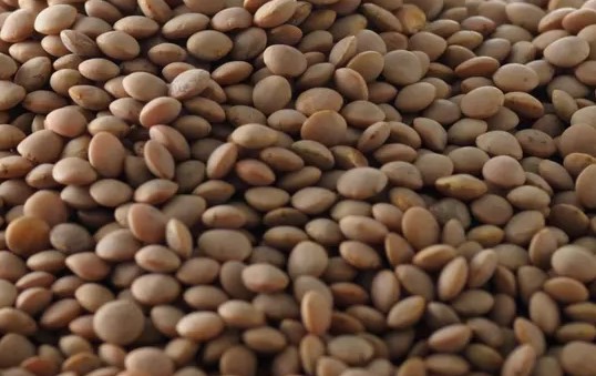 10 tonnes de de lentil deja disponible au senegal - fruits et légumes lentil de très bonne qualité exporté du canada déjà disponible à dakar. possibilité de livraison partout au senegal. ------