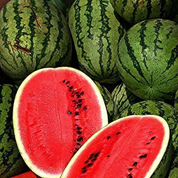 Melon d'eau  - fruits et légumes --bonjour notre société espagnol  vous propose des tonnages avec des bonne qualité de pastéque melon rouge  soyer les premier qui demandes ces bonne et mer