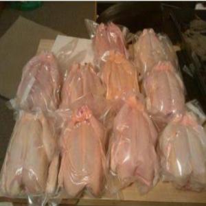 Whole Frozen Chicken ( HALAL Certificate) - meat and eggs we are turkish chicken producer. we have only whole chicken with high quality. we have all certificates like halal certificate. we can supply differen size chicken.--contact with us directlly.