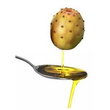 organic prickly pear seeds oil certified organic - other hello--we specialize in the extraction of organic prickly pear seed oil from organic agriculture and certified organic.--we can guarantee you a very high quality extra virgin oil from a first cold press.--we can do the conditioning you want.--we are looking for partners and customers all over the wo