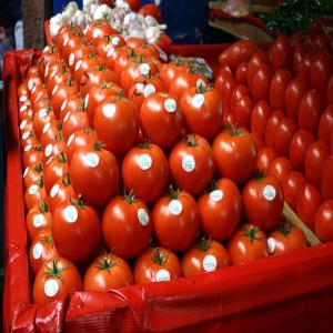 Tomate - fruits et légumes nous sommes à la recherche des clients grossistes pour notre production de tomate marocaine.--merci de nous faire parvenir vos demandes.--cordialement 