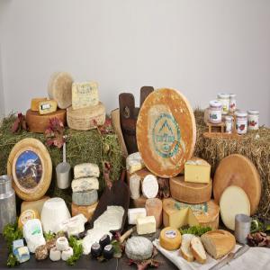 Recherche de client/ fromages et yaourts  - lait et produits laitiers  produit italien le produit le plus caractéristique de la laiterie  est,  sans aucun doute,  le yaourt. réalisé dans douze parfums et dans différents formats (125 g /375 g /1.000 g),  c’est un produit artisanal très apprécié et présent jusque dans