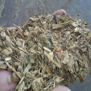 Ensilage De Maïs Déshydraté