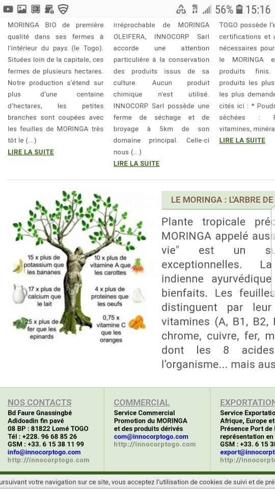 Graines de Moringa - semence graine plant je.recherche de toute urgence des tonnes de graines de moringa et aussi des feuilles de moringa au togo, au bénin et au burkina faso.